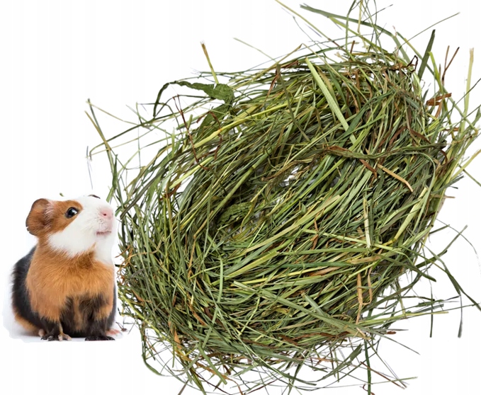 Levně Krmivo malá morčata 7 kg čerstvé seno od farmáře ekologická