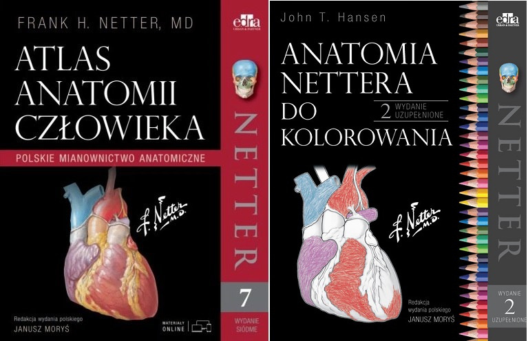

Atlas Netter Polskie mian Anatomia do kolorowan