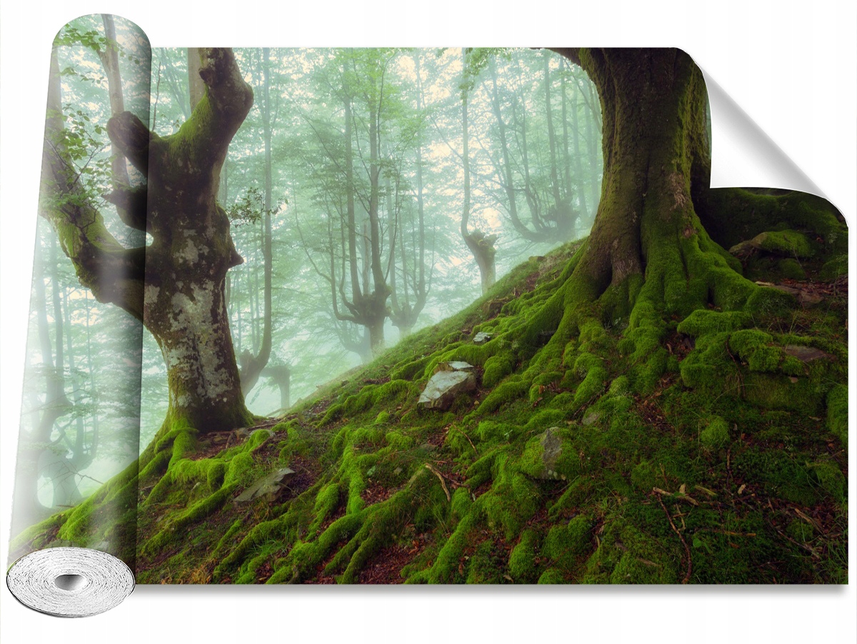 

Tapeta Samoprzylepna MagicStick Las bukowy 104x70
