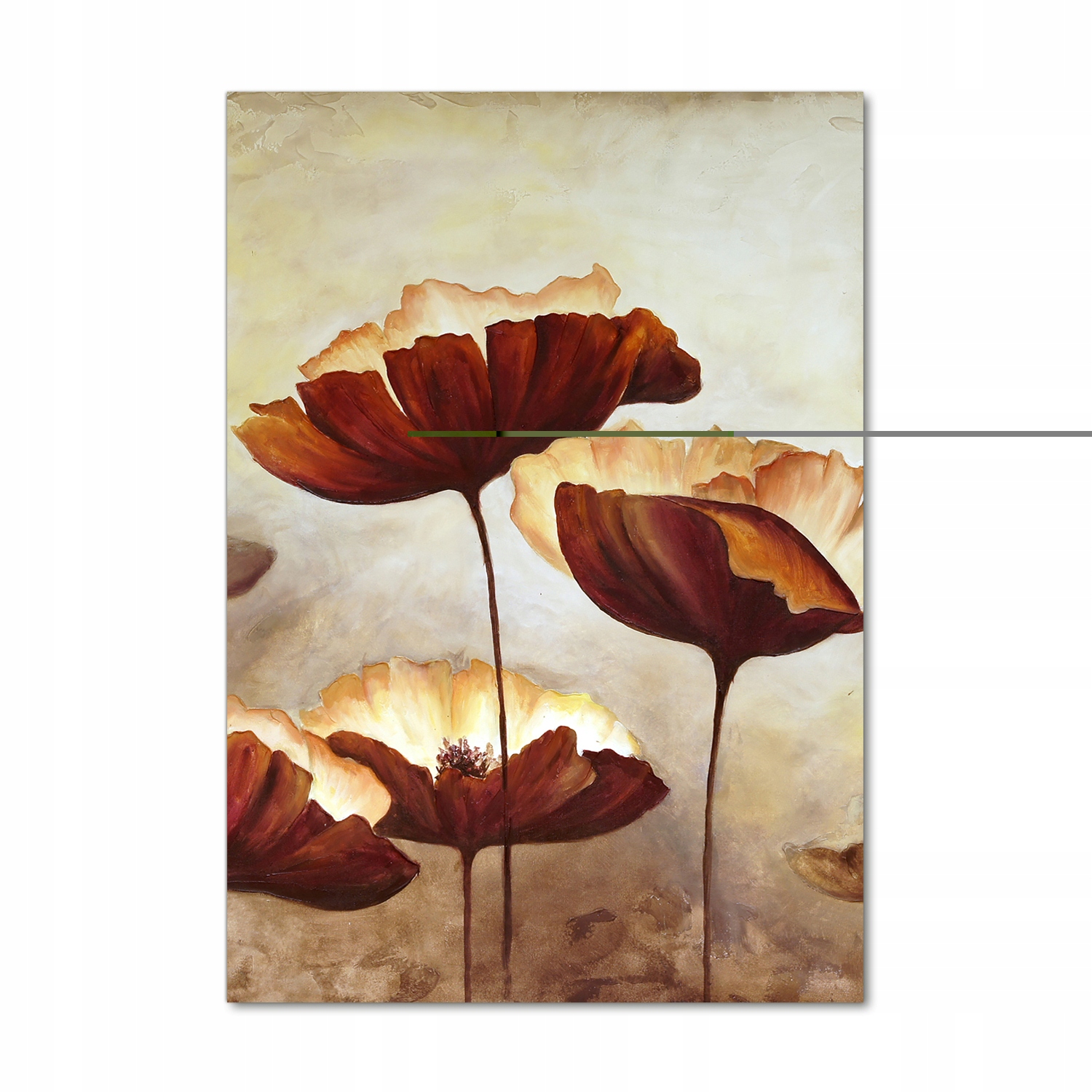 

Foto obraz akrylowy na ścianę Polne maki 70x100cm