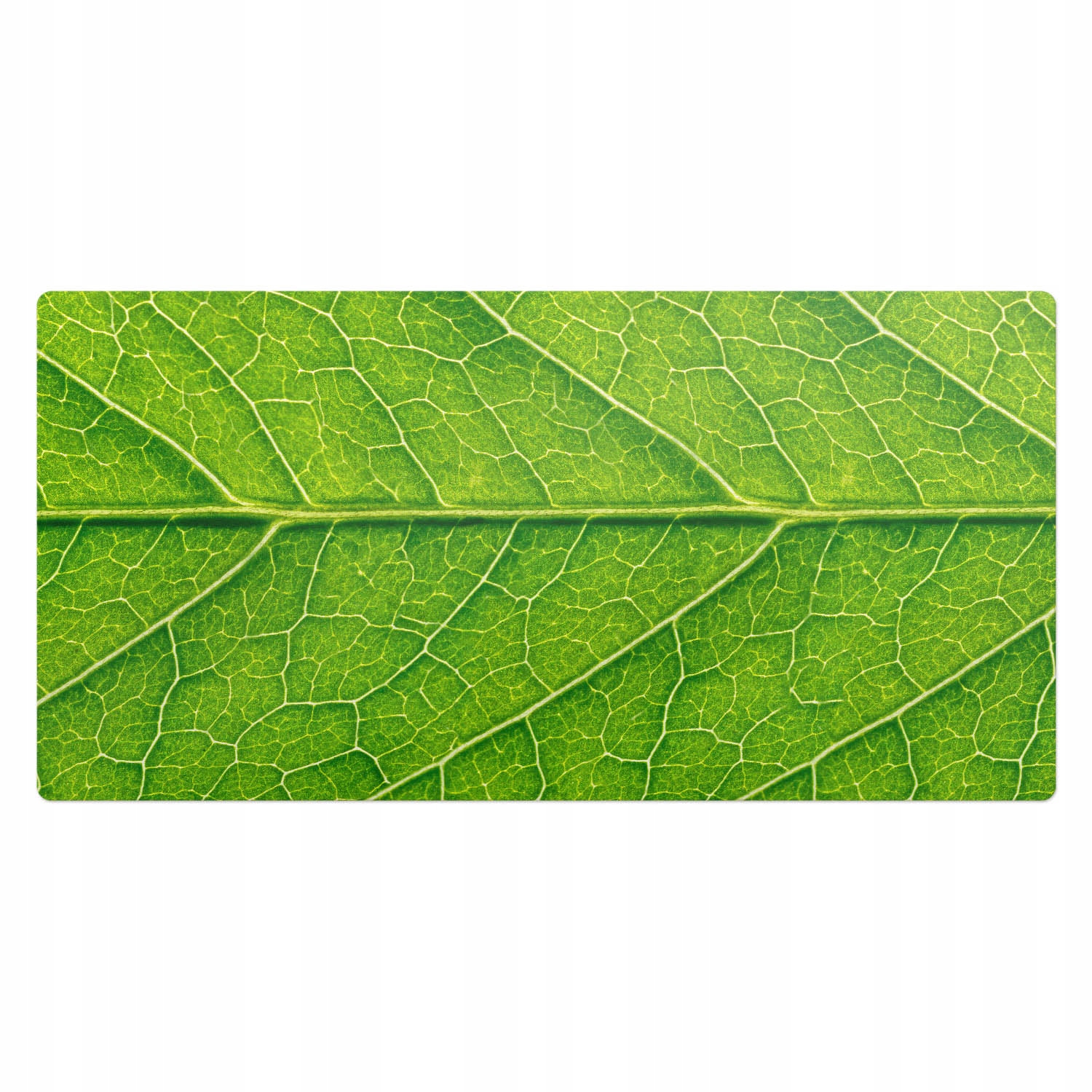 Podložka na psací stůl pod klávesnici a akcesoria Přiblížení na list 100 x 50 cm