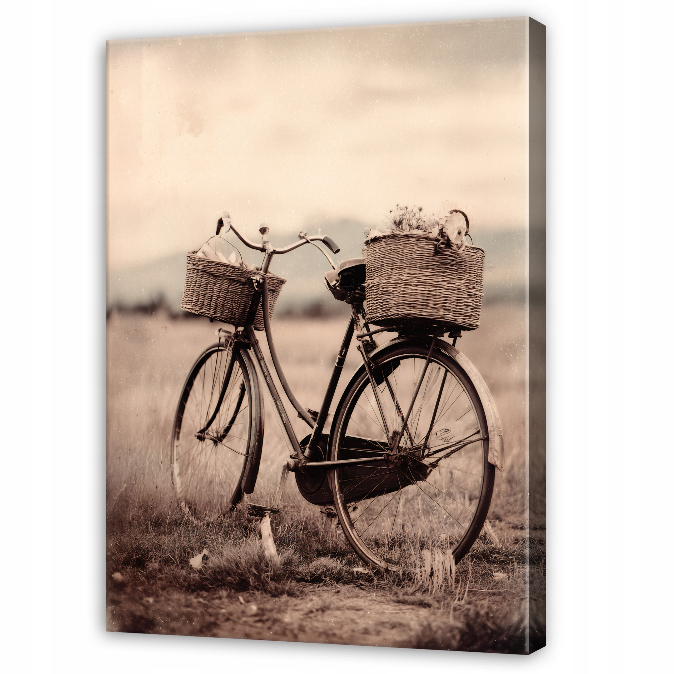 Béžový Obraz Kolo Retro Louka Příroda Do Předsíně Kanceláře Moderní 120x80