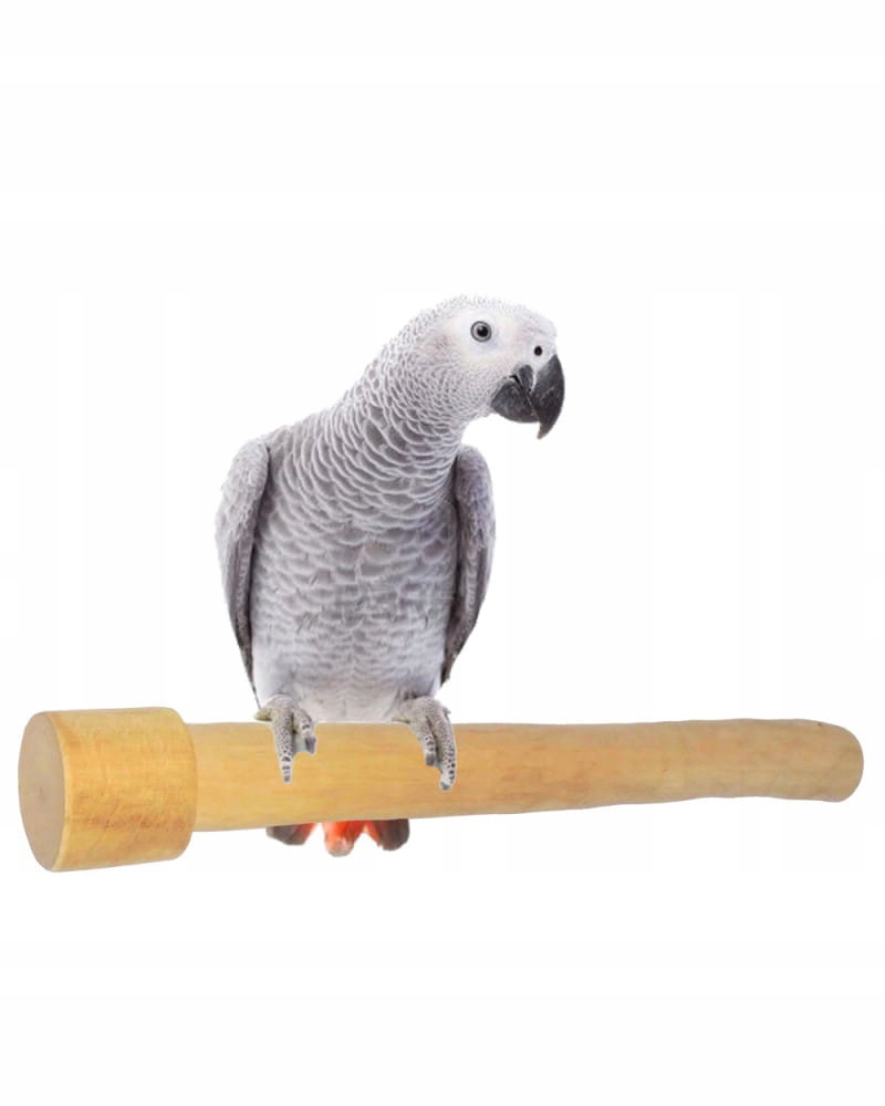 Žerď Java 30 cm M – Místo zábavy a odpočinku pro velké papoušky