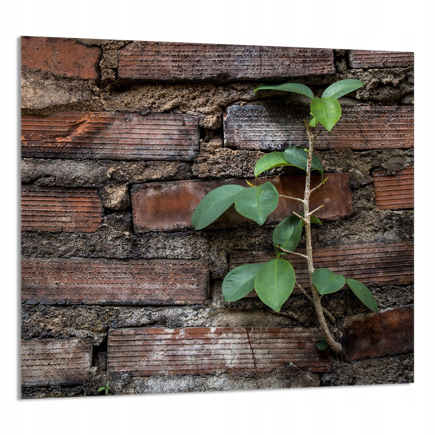 Skleněný Panel Do Kuchyně 65x60 Cihla Tvrzené Sklo