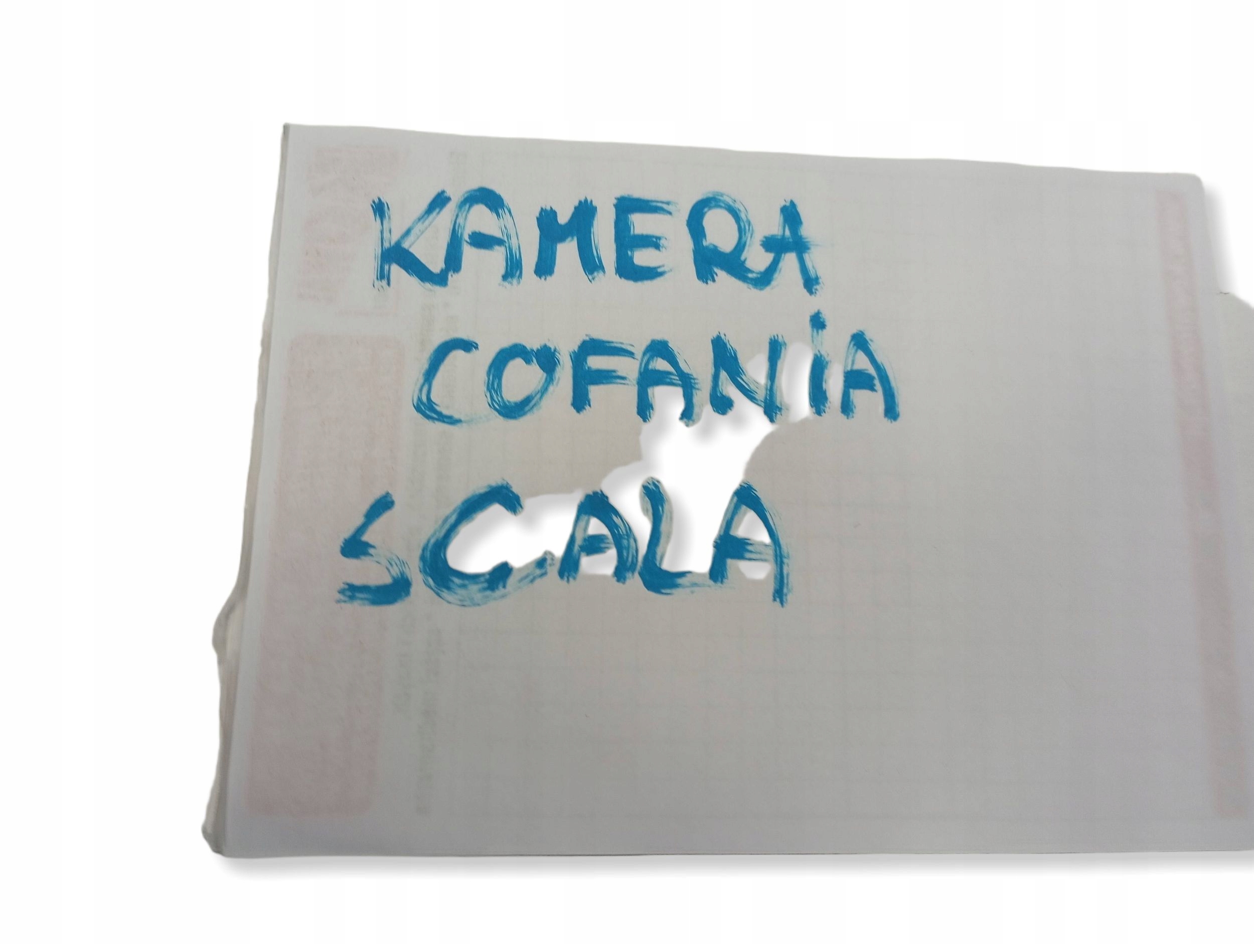 KAMERA reversing SKODA SCALA 657827566