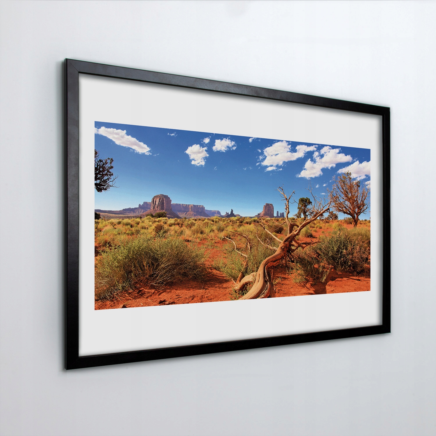 

Foto obraz do salonu Pustynia drzewo skały 60x40