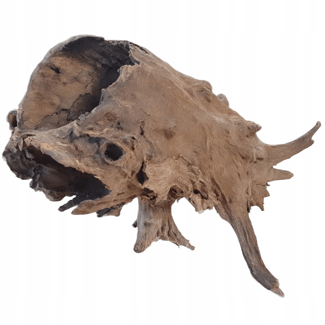 Levně Kmen s kořeny Buddha dekorace do terária Úkryt Akvárium 30-40 cm