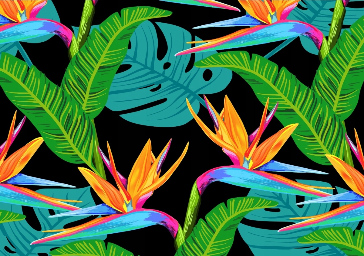 

Fototapeta Flizelinowa Tropikalne kwiaty 208x146