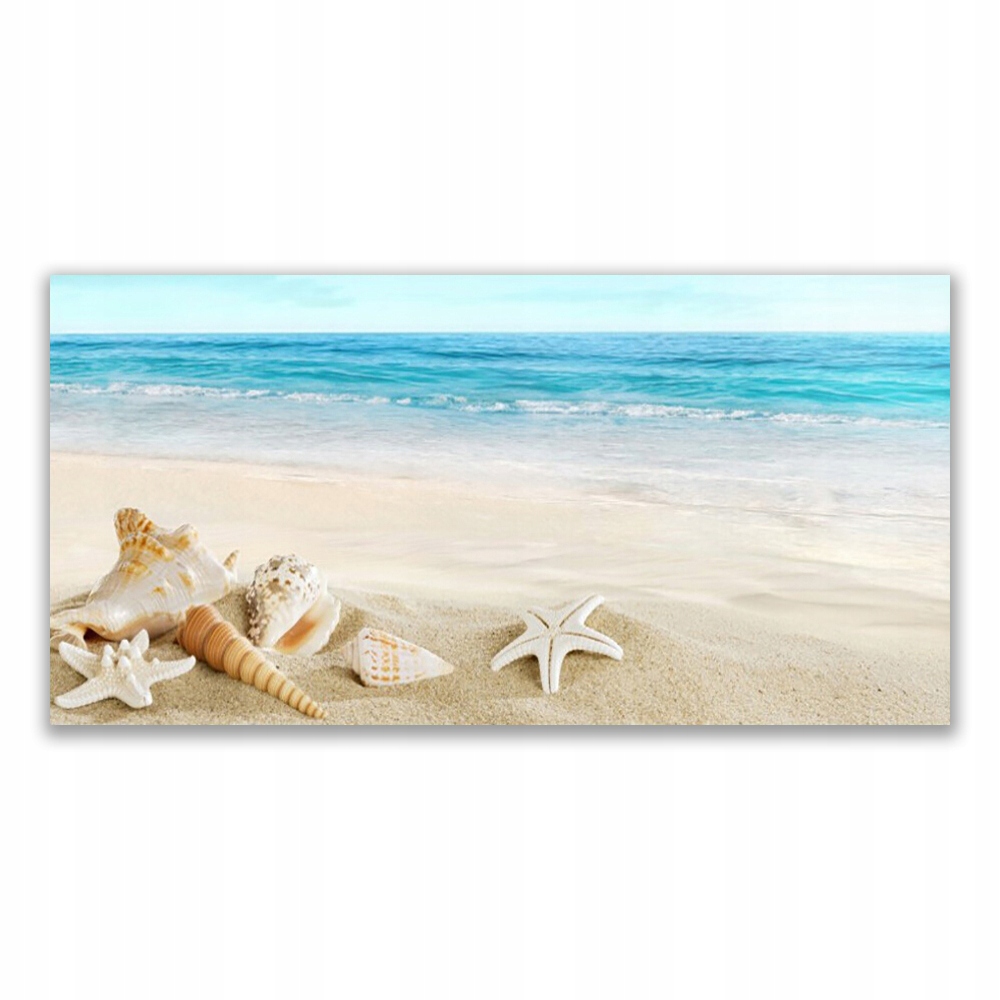 

Obraz akryl z grafiką 120x60 Rozgwiazda Muszelki