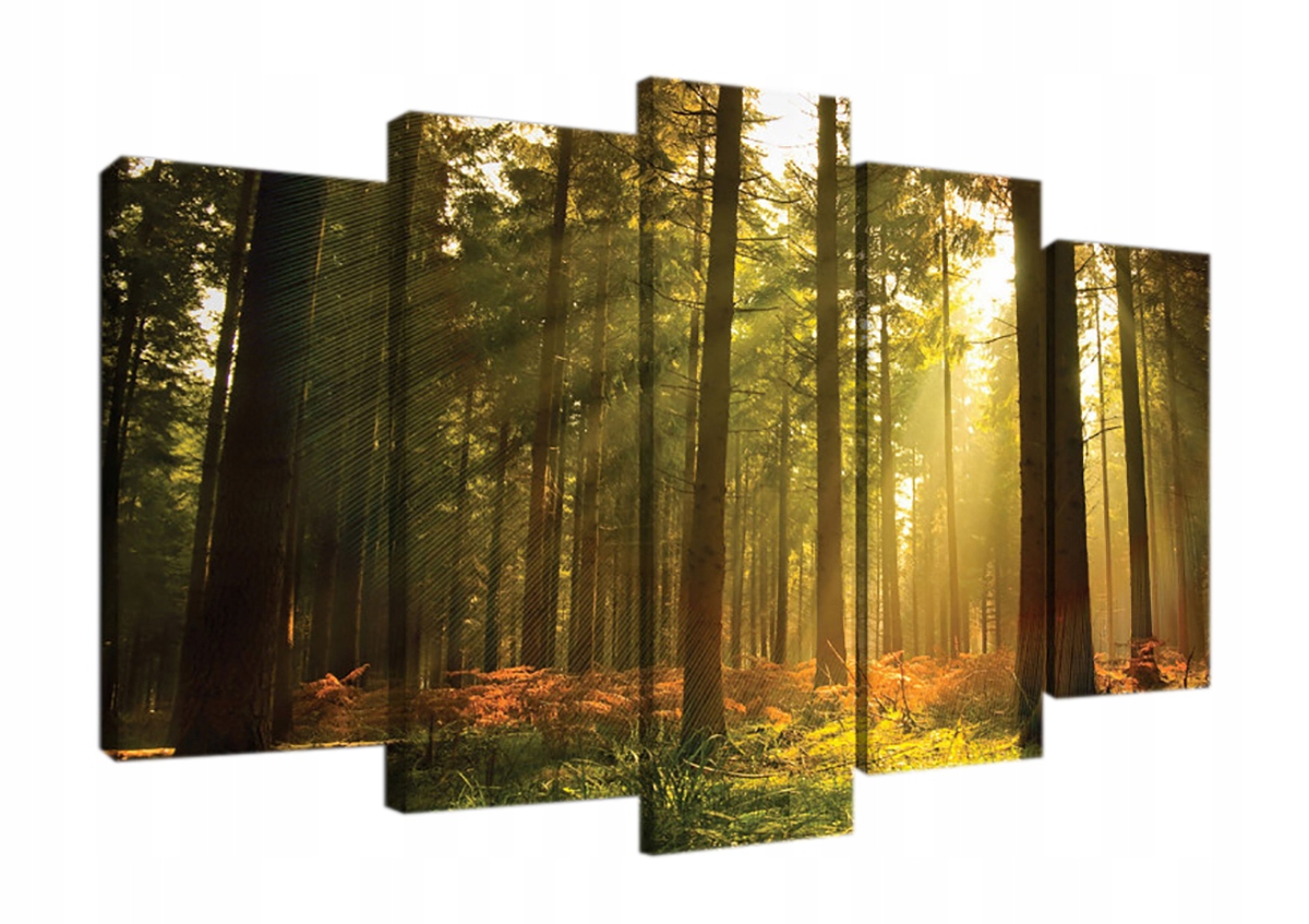Obraz Na Plátně Canvas 100x60 Les Stromy Slunce
