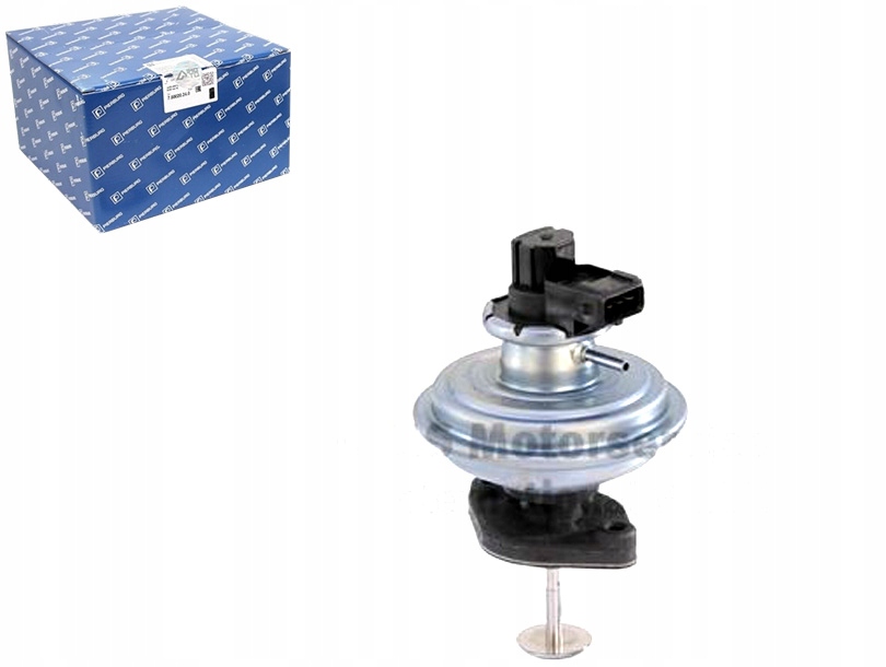 Ventil Egr Pierburg 555268 7518195 FDR326 88195