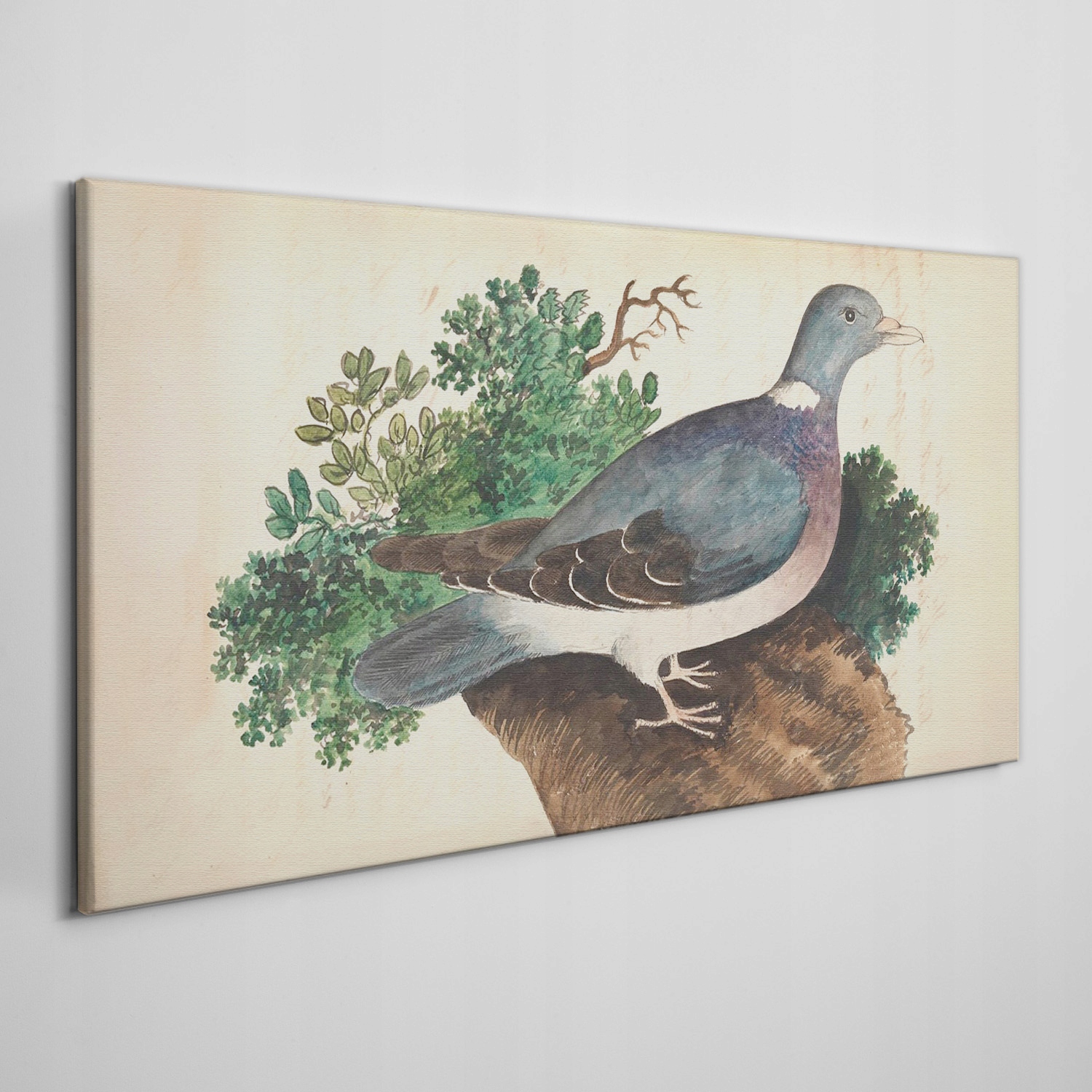 

Obraz na płótnie Ptaki dzikie zwierzęta 100x50 cm