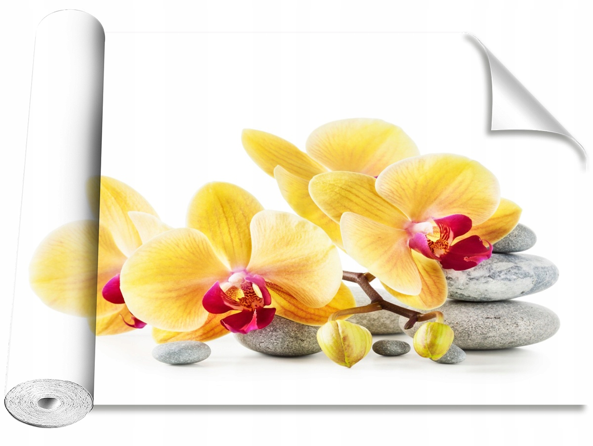 

Tapeta Samoprzylepna Orchidea Żółty 312x219