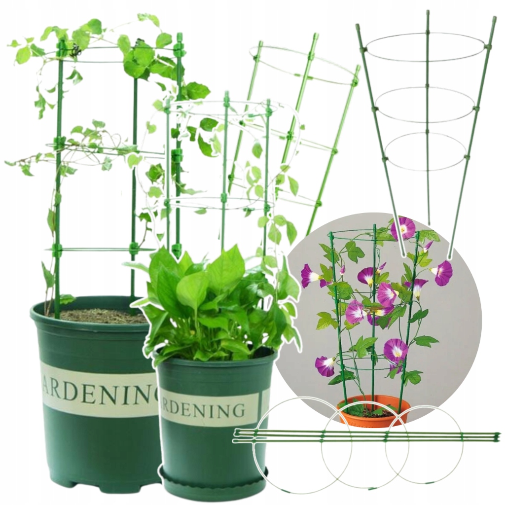 PODPORA PIERŚCIENIOWA DO ROŚLIN PNĄCYCH STELAŻ OGRODOWY DO WZROSTU 60CM