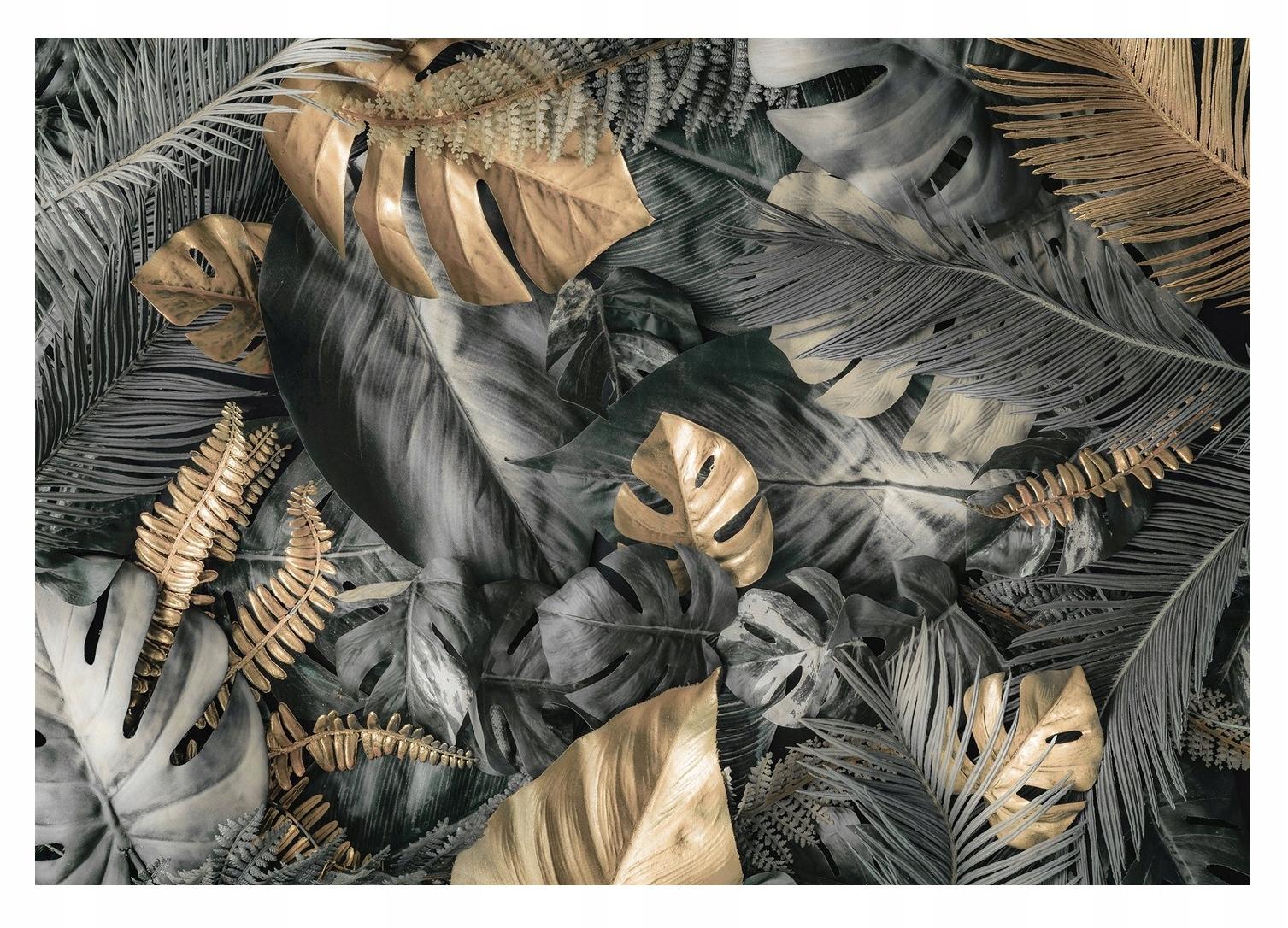 Fototapeta 3D Listy Monstera Kapradí XXL 254x184
