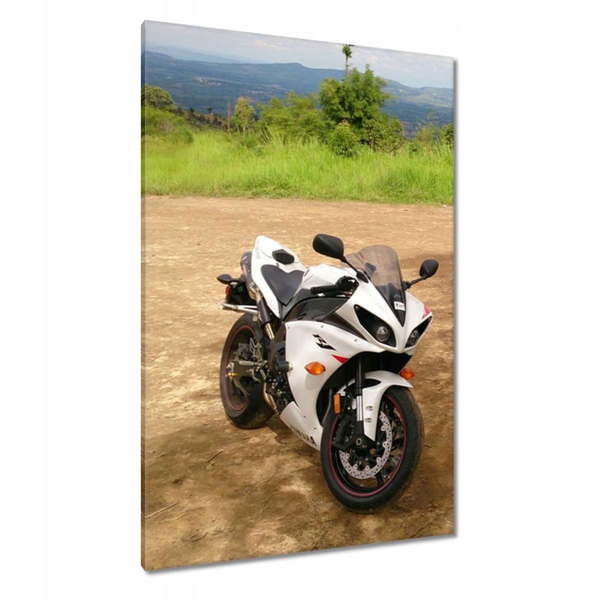 Obrazy 80x120 Yamaha R1 v terénu