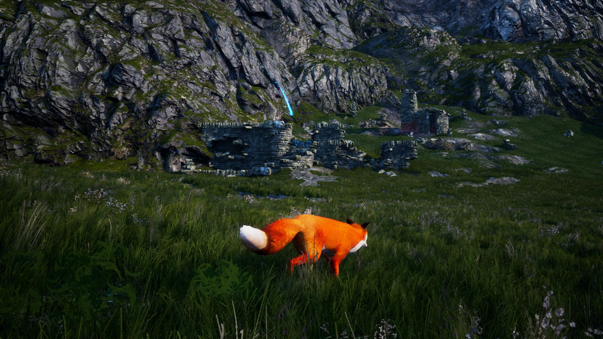 SPIRIT OF THE NORTH ENHANCED XBOX SERIES X/S KLUCZ Tematyka przygodowe