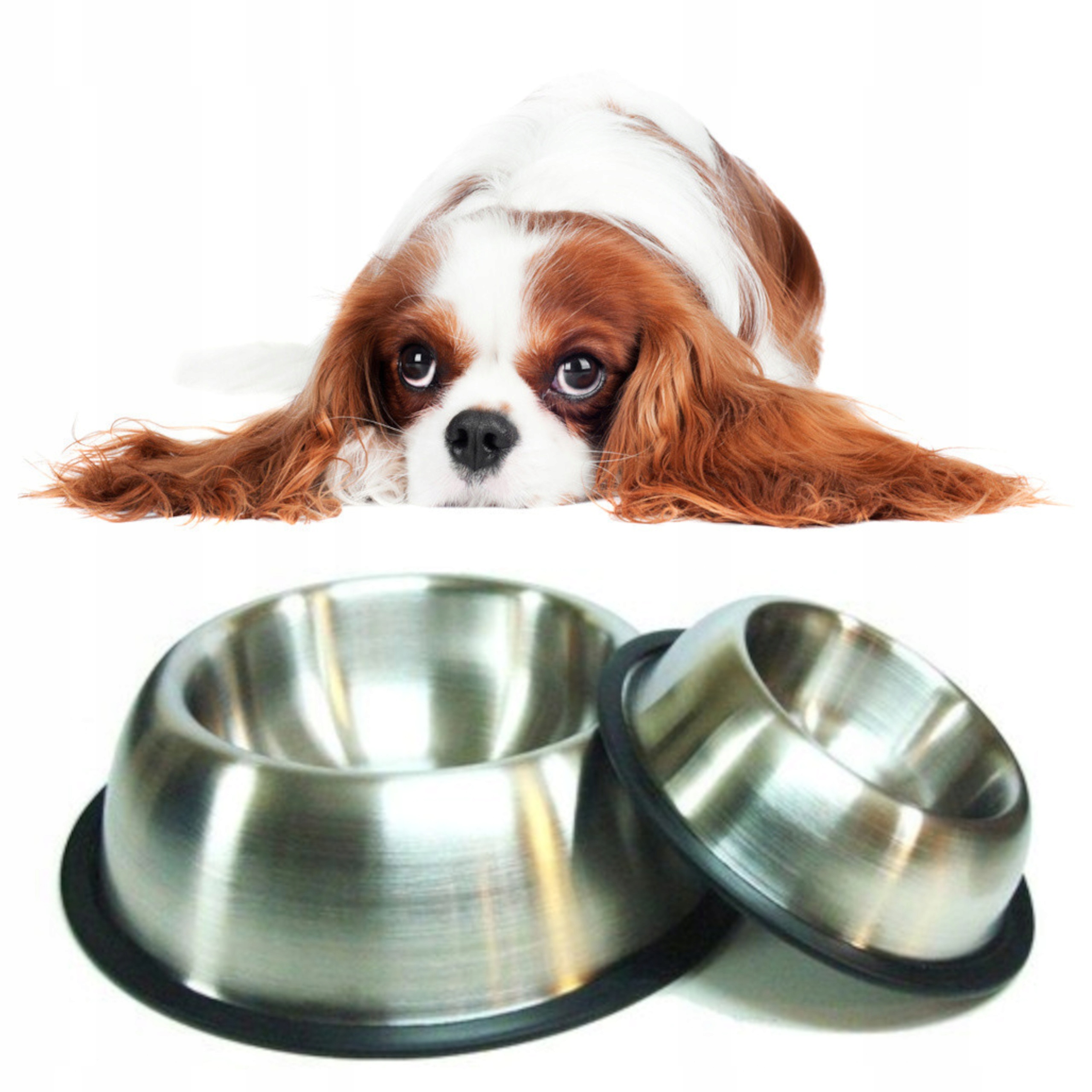 

Miska Spaniel Happet MM14 18cm/0,85l