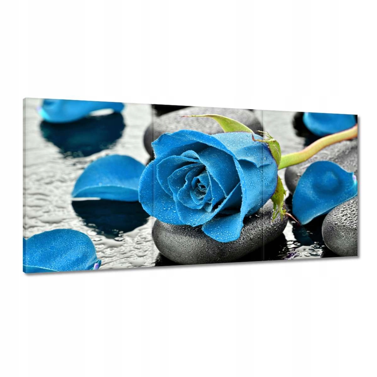 Obrazy 180x90 Modrá ruža Kamene