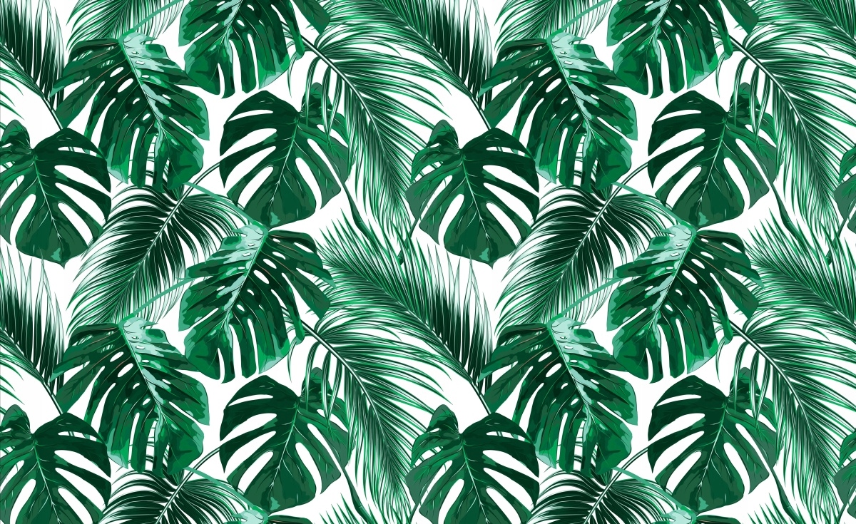 

Fototapeta Flizelinowa Monstera dziurawa 416x254