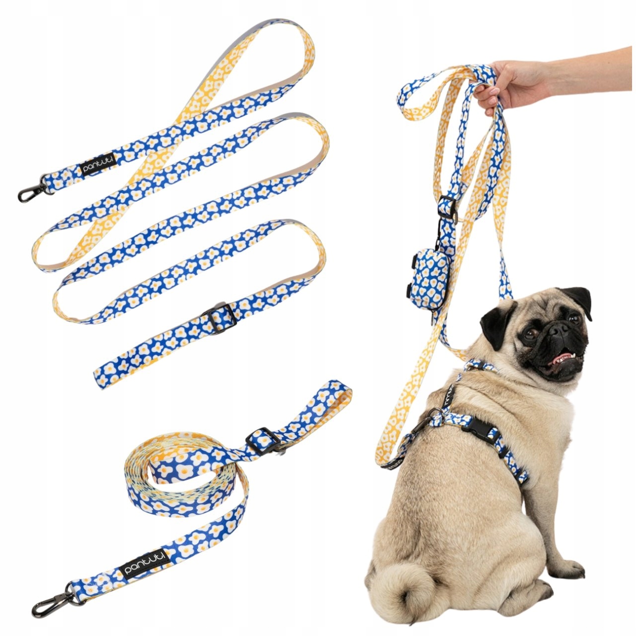Levně Vodítko Pro Psa Vodítko Nastavitelná Pro Psa, Přepínací, 2,5 M, Modrá, S Vejci