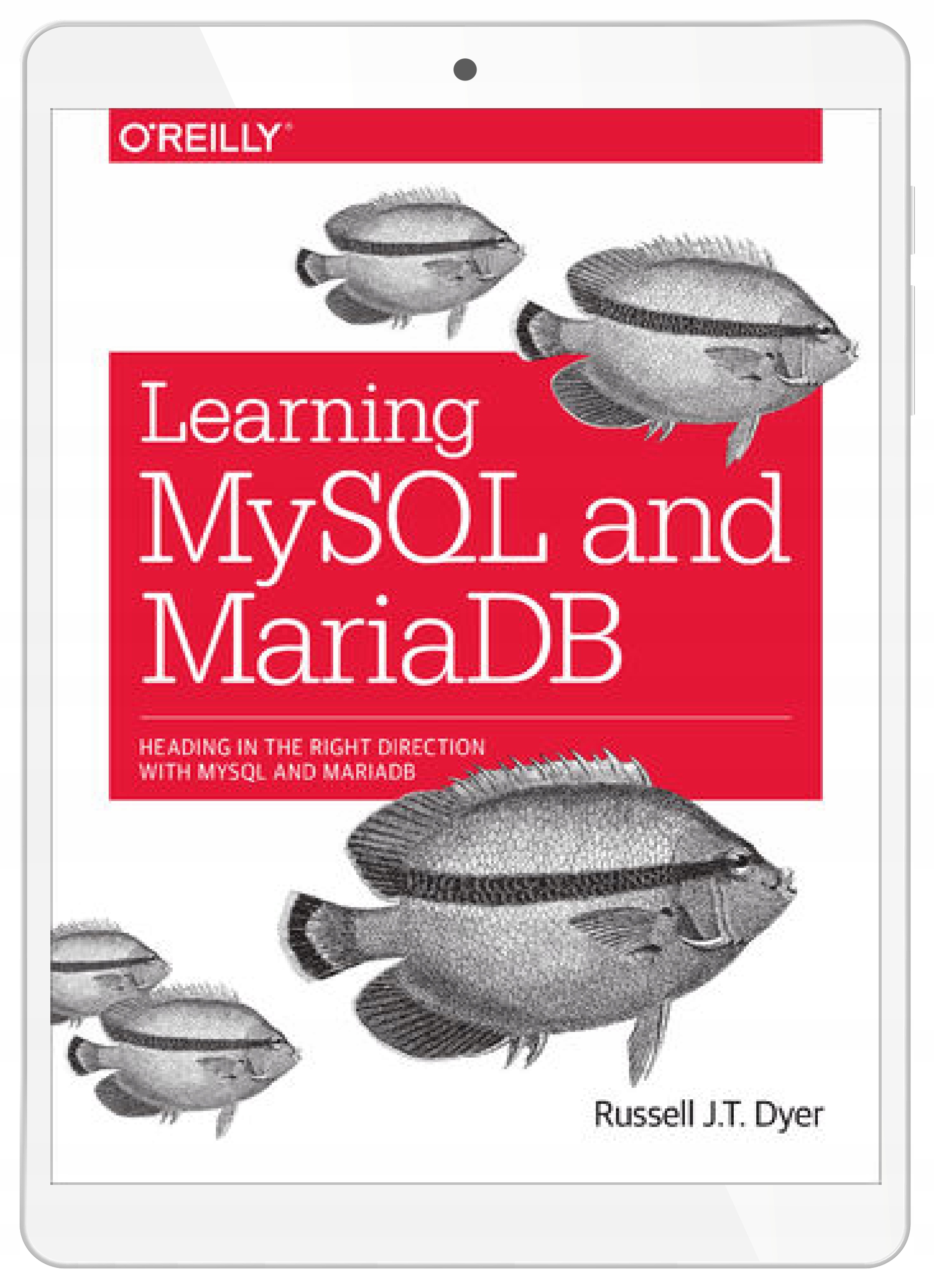 Learning MySQL and MariaDB. Heading in the Right