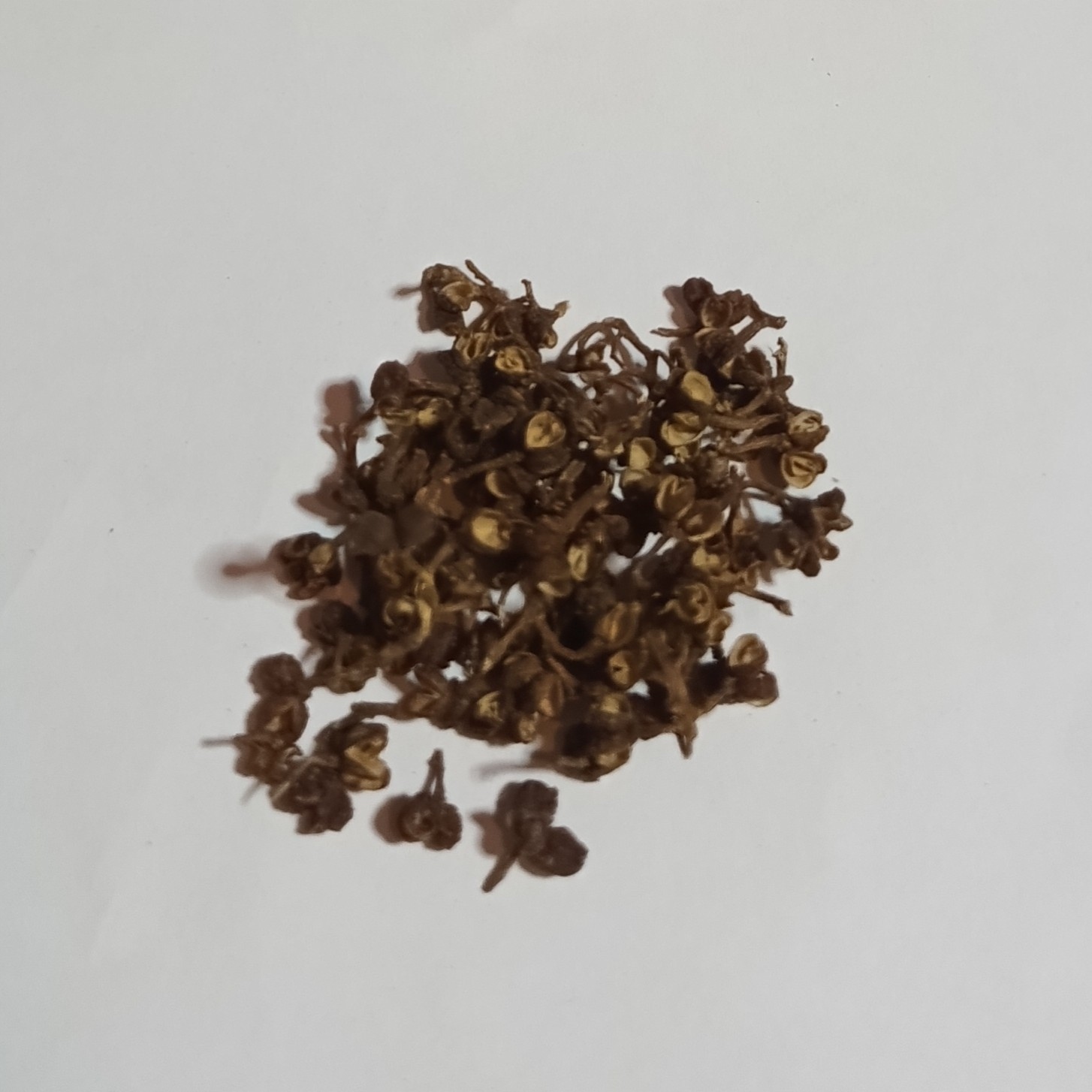 Levně Pepř celý 1 kg Rafex