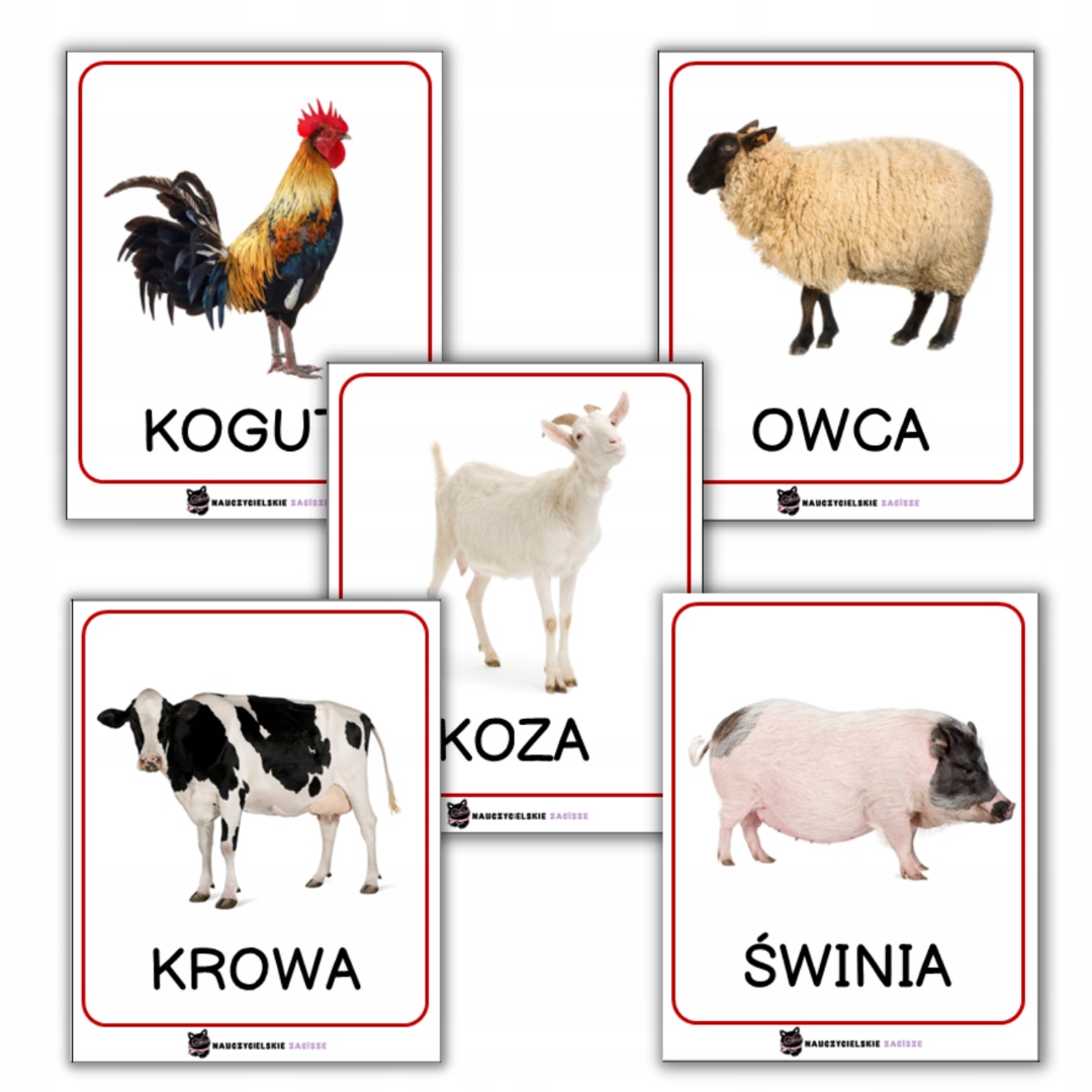 

Zwierzęta hodowlane gospodarskie x16 Fiszki 10x8cm
