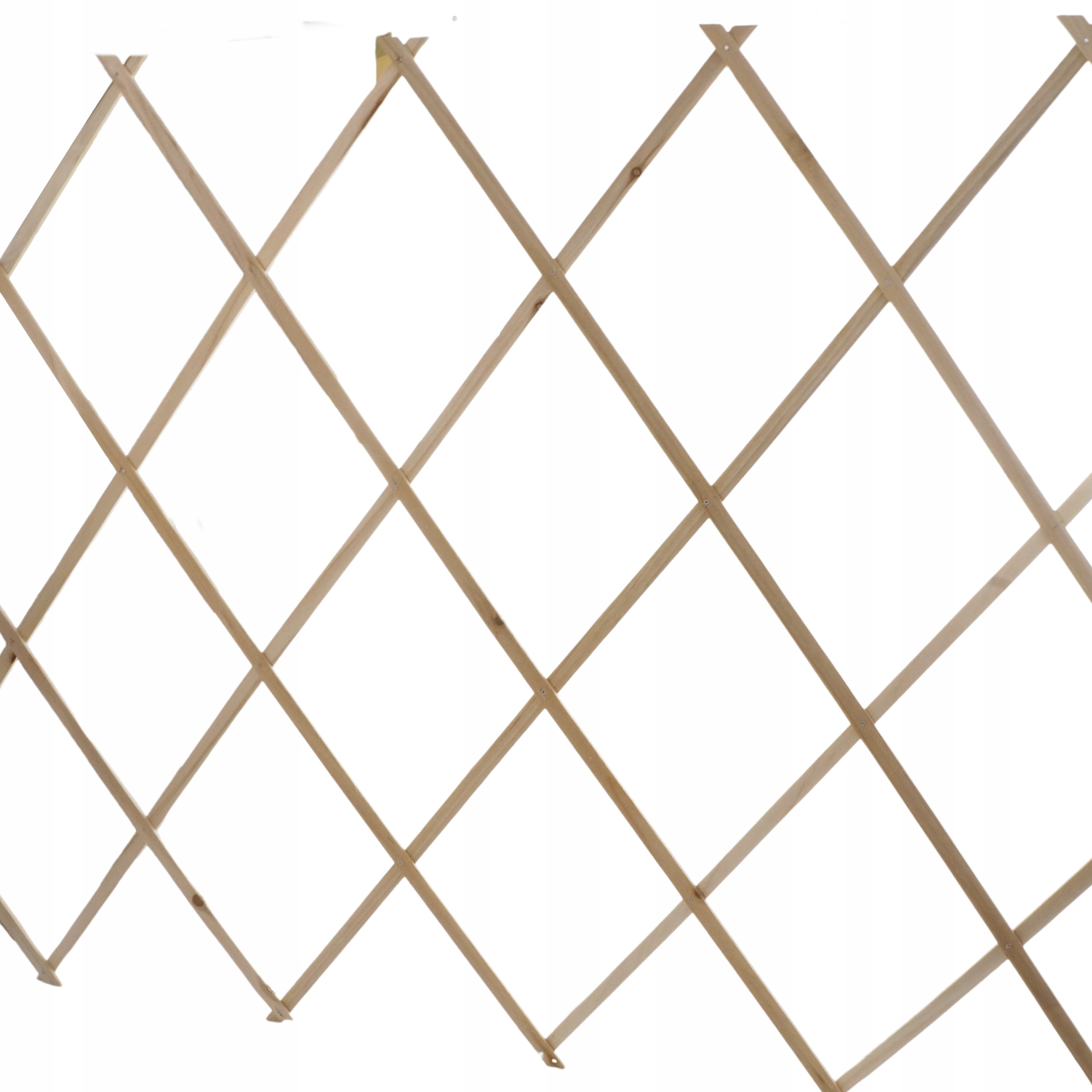 

Drewniana kratka pergola 300 x 100 cm rozkładana