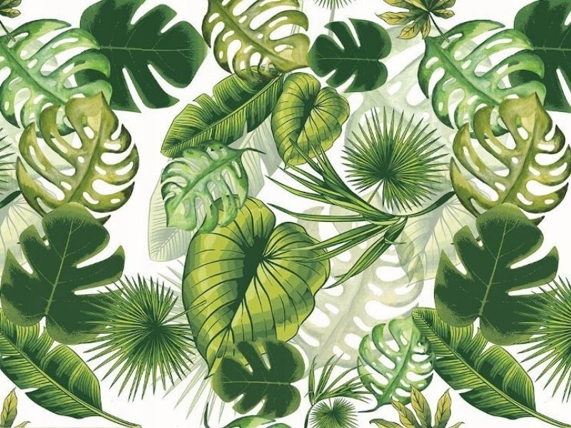 CERATA ZIELONA LIŚCIE MONSTERA LISTKI NOWOCZESNA NA WYMIAR METRY