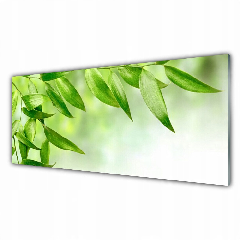

Fotoobraz z nadrukiem 125x50 Zielone Liście Natura