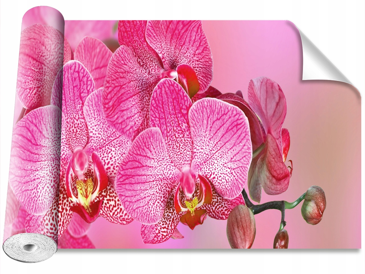 

Tapeta Samoprzylepna Różowy Orchidea - 152x104
