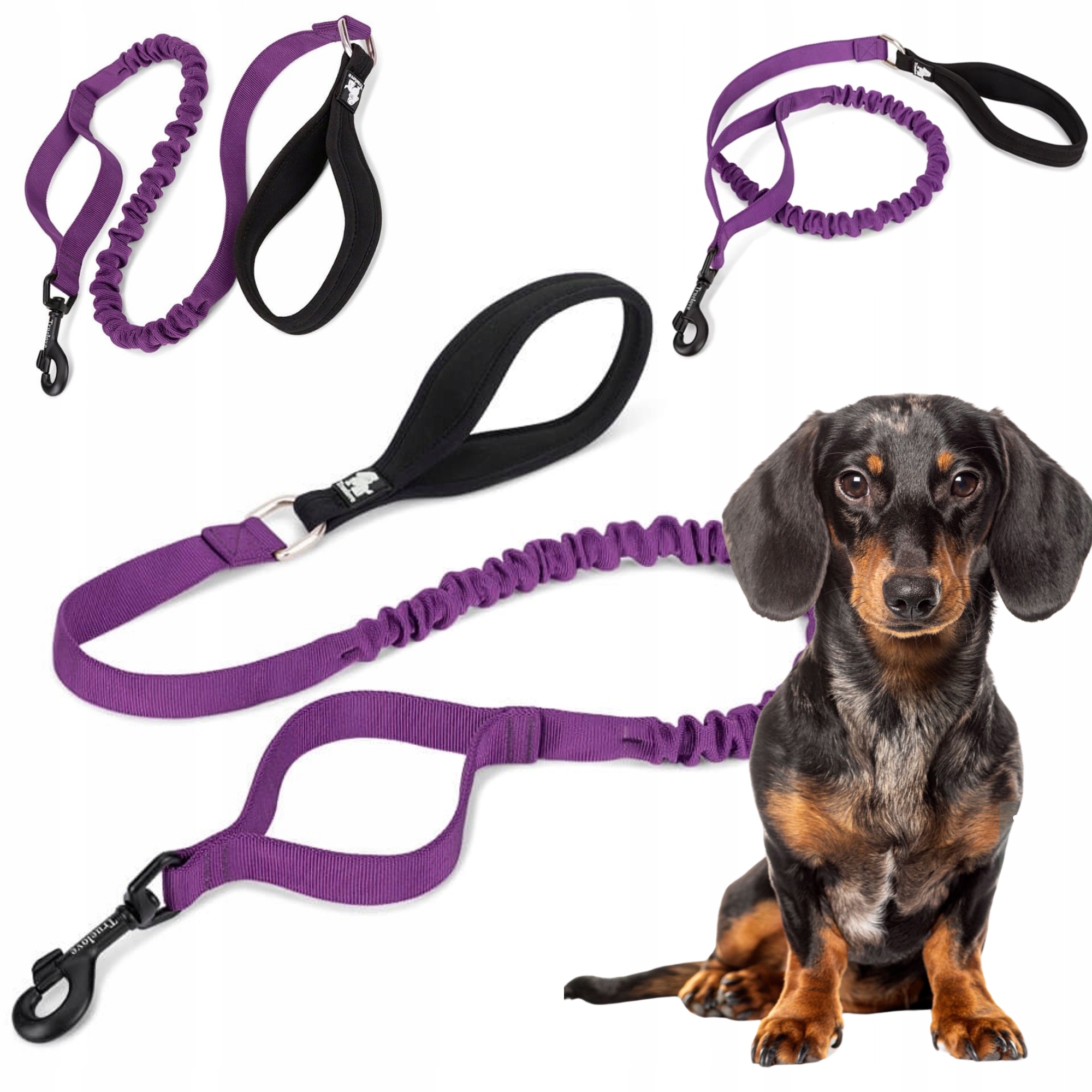 Smycz Dla Psa Z Amortyzatorem Mocna Truelove Adventure 160CM Fioletowa S