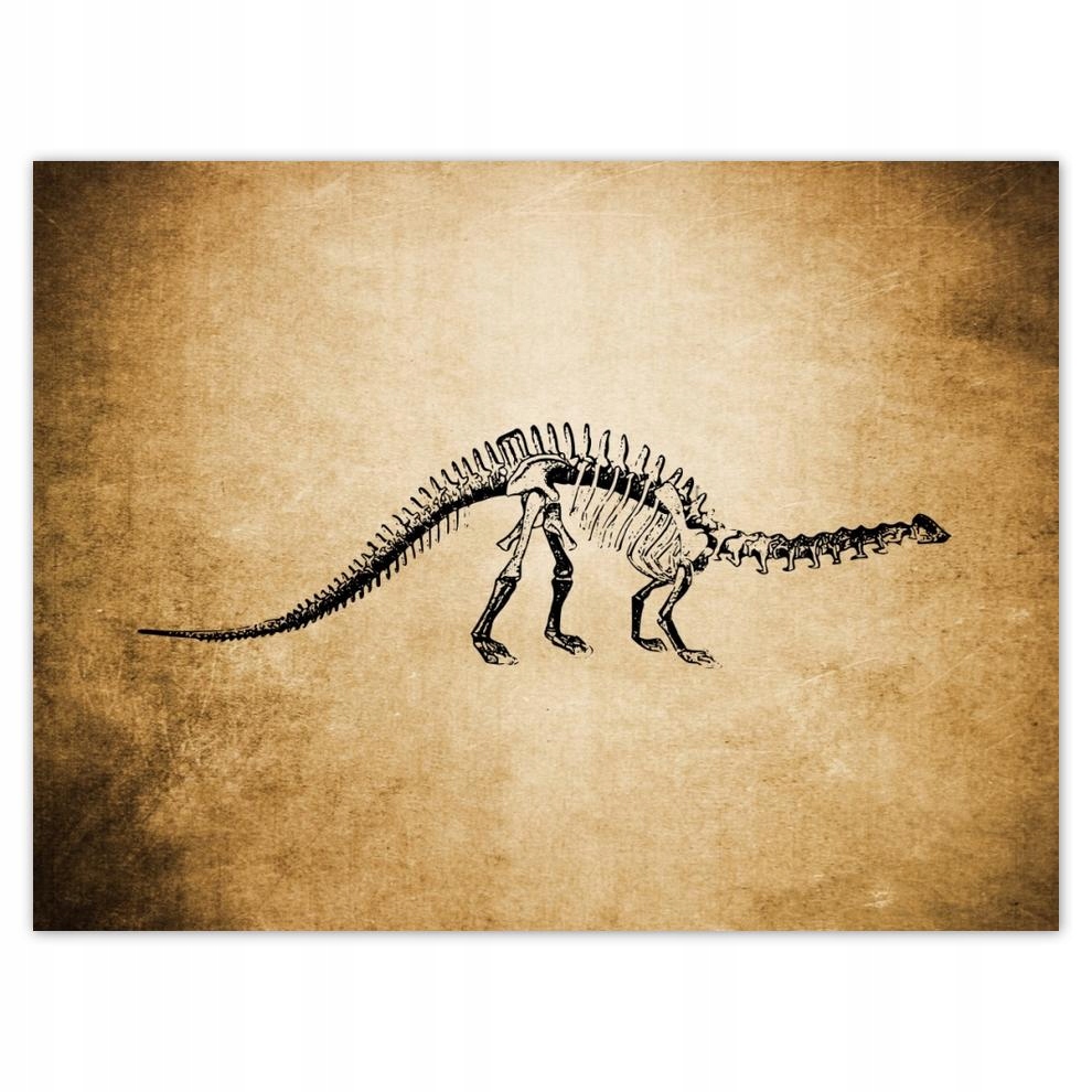 

Plakat 40x30 Dinozaur Prehistoria Dino