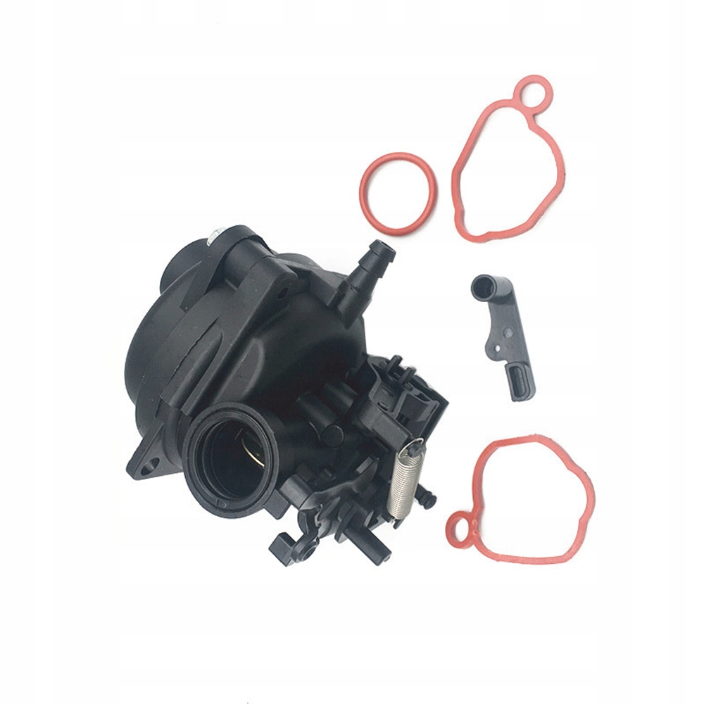 6935466237964 - карбюратор для газонокосарки Briggs Stratton 79958