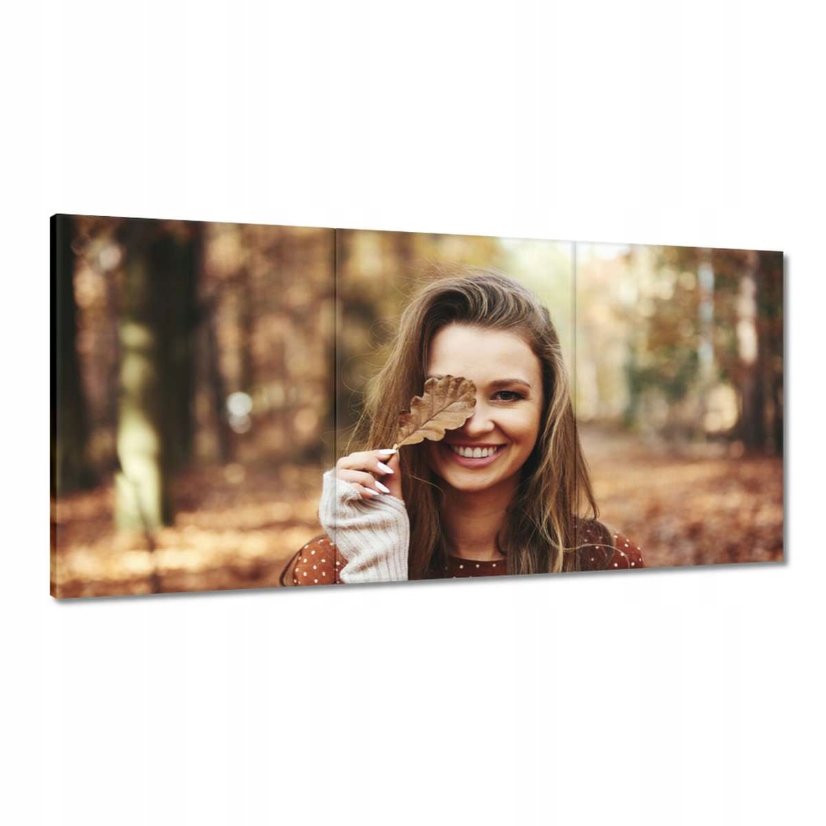 Obrazy 180x90 Podzimní listy Podzim