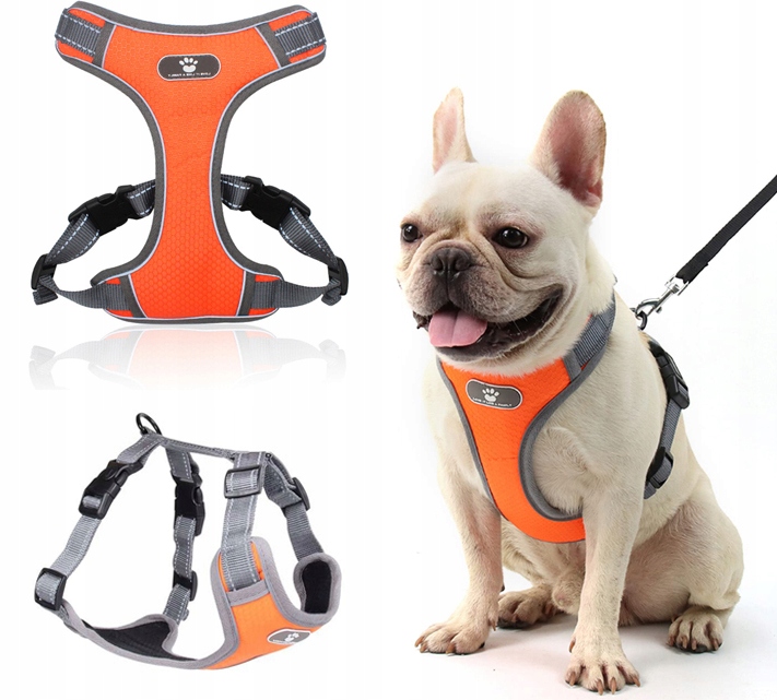 Levně Postroj Pro Velkého Psa Odolný, Nastavitelný, Reflexní, Easy Walk Velikost M