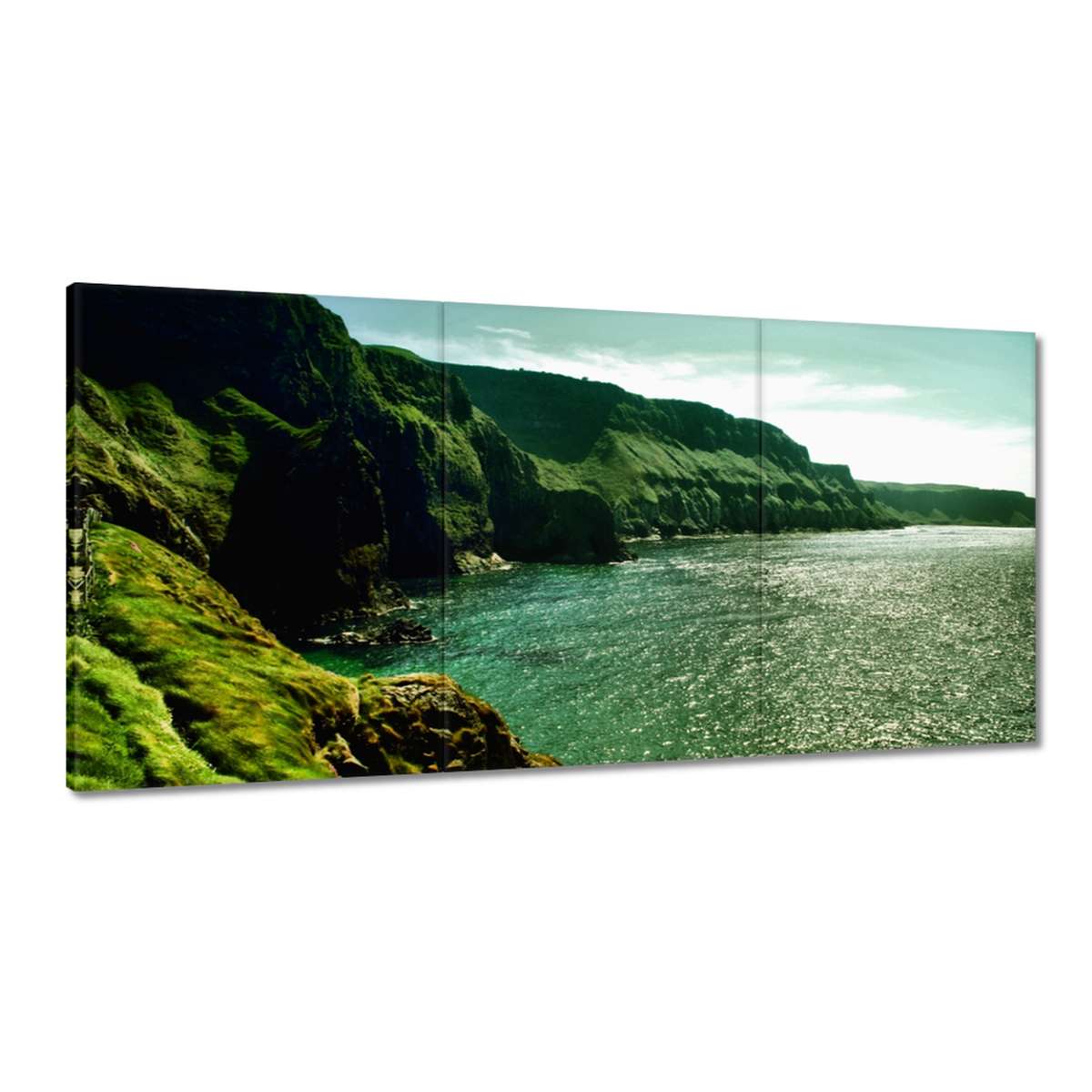 Obrazy 180x90 Carrick a Rede