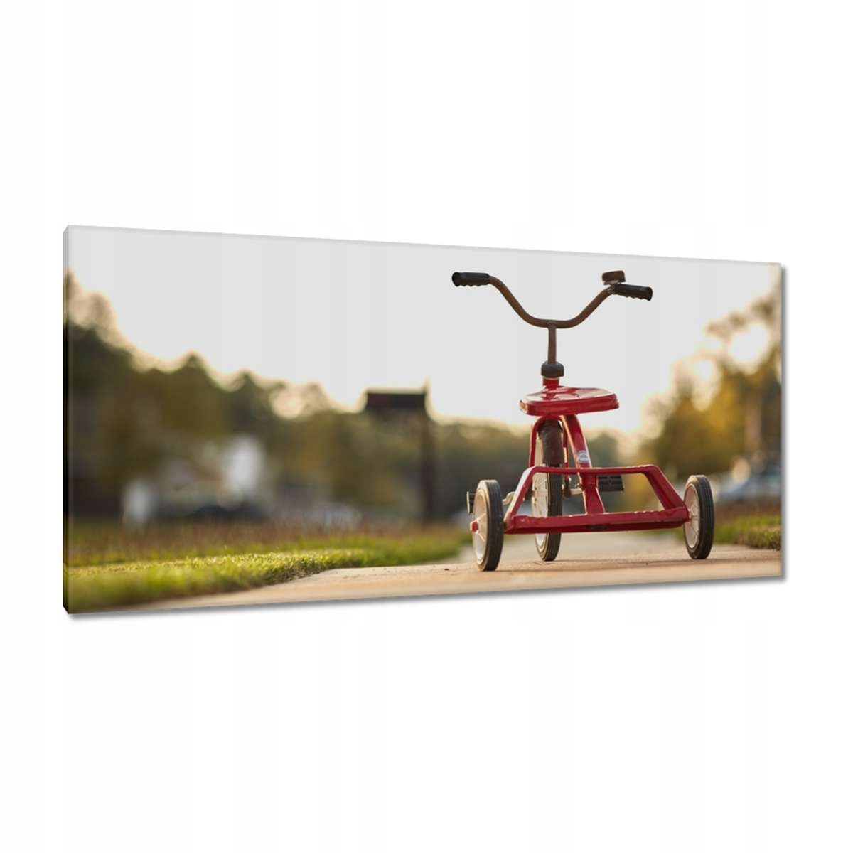 Obrazy 115x55 Tříkolka