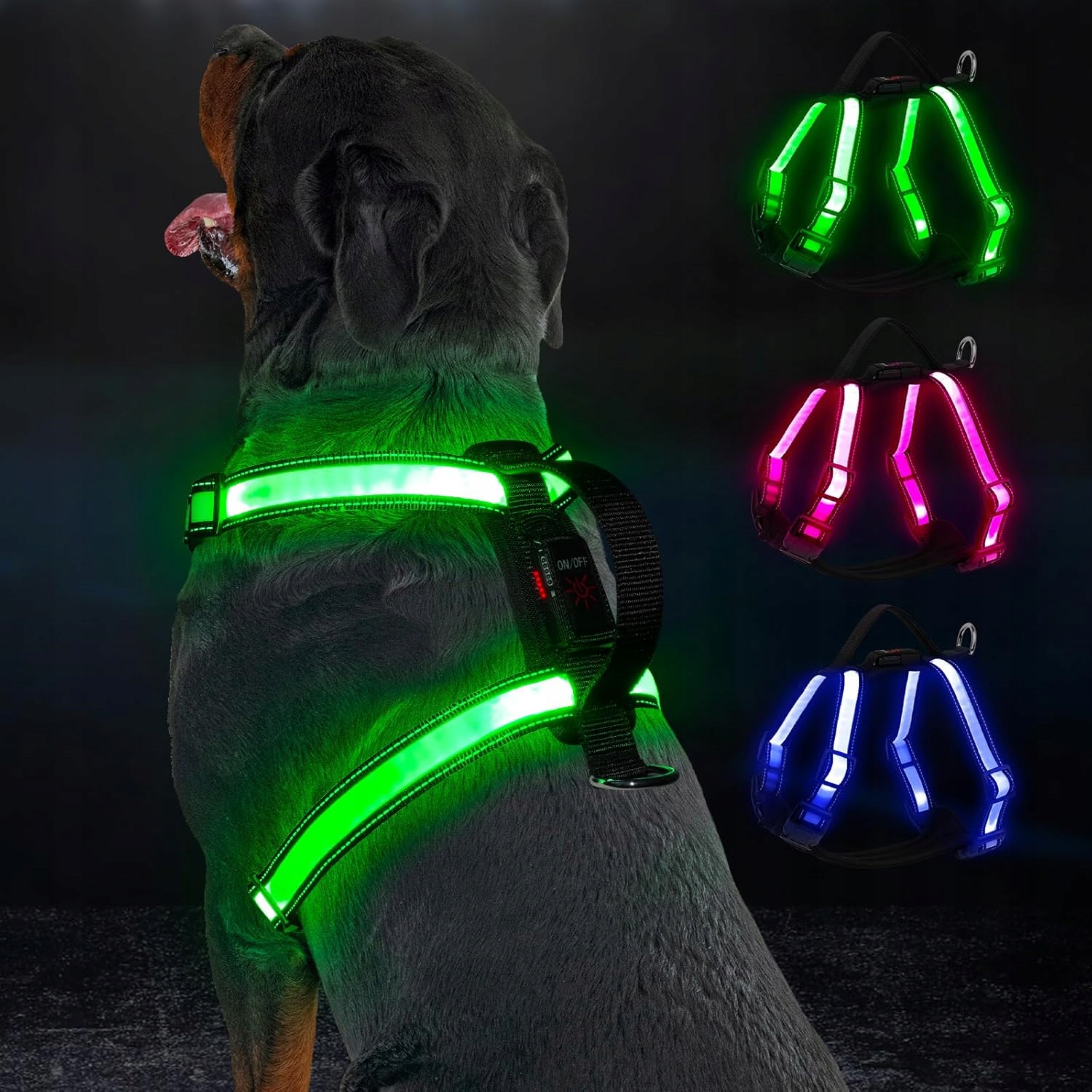 Szelki Spacerowe Bezuciskowe Led Rgb Dla Psa Akumulatorowe Usb R. M