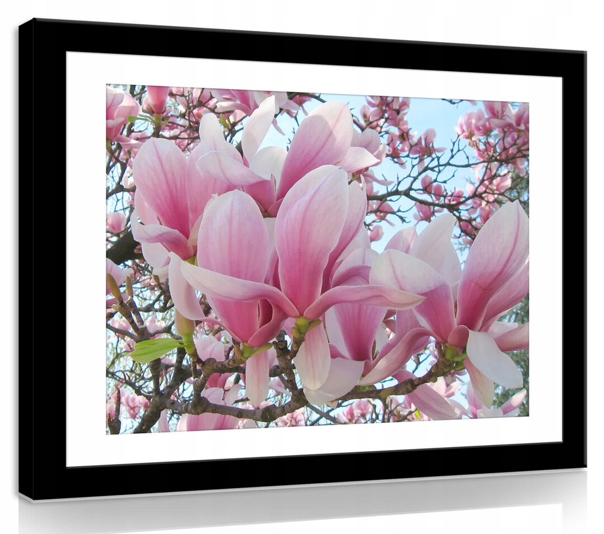 Obraz Na Plátně Canvas 100x75 Keř Magnolie