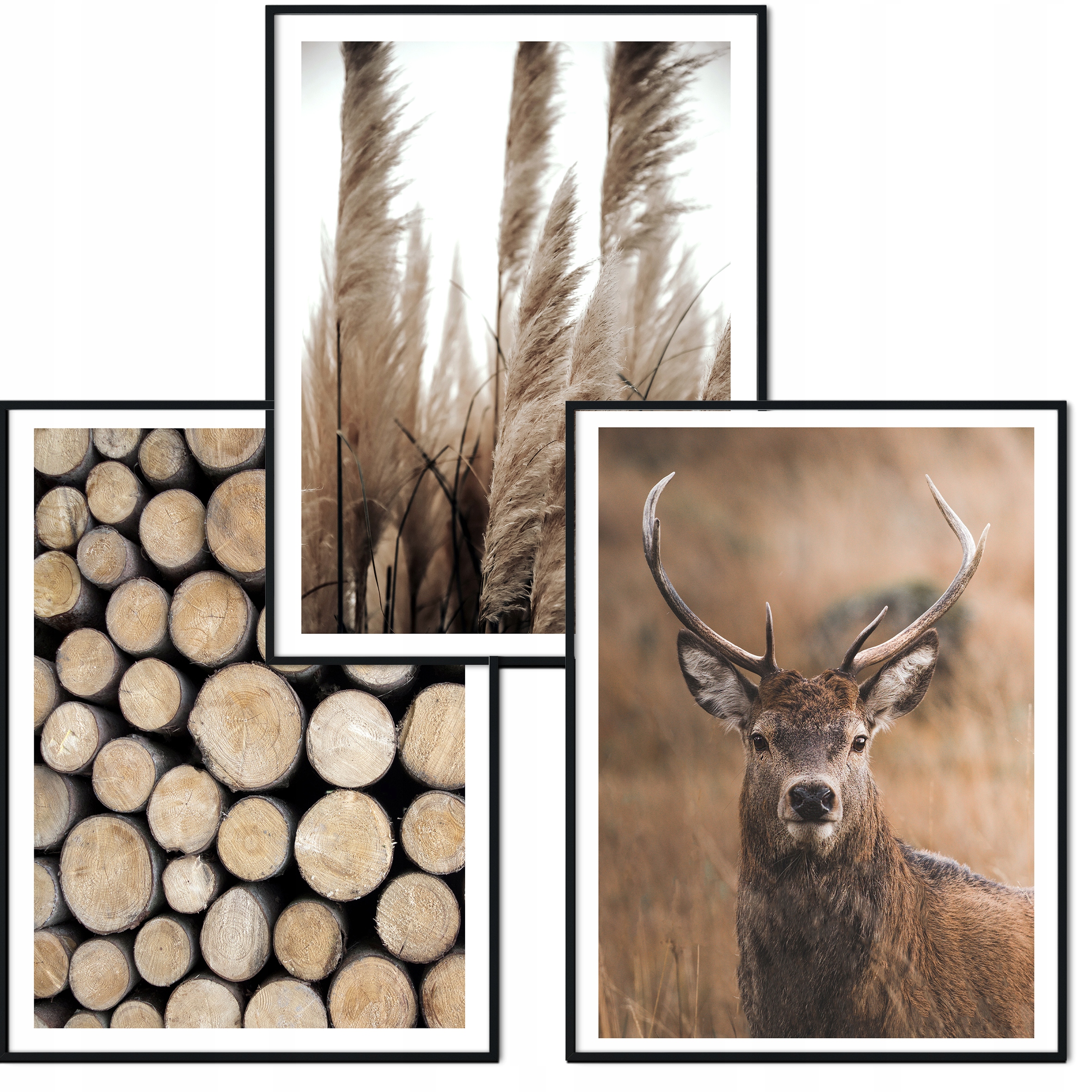 Plakáty Set 3ks 50x70cm B2 podzim béžová hnědá příroda eviero pampas