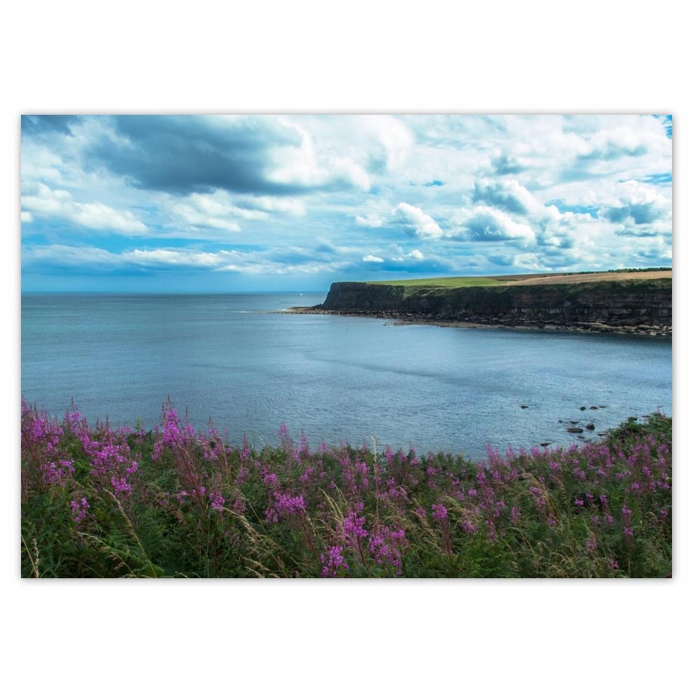 

Naklejki 70x50 Pachnący pejzaż z klifem