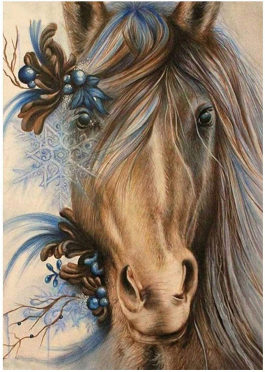 Malowanie Po Numerach Koń Konie Z RAMĄ 40x50 OBRAZ