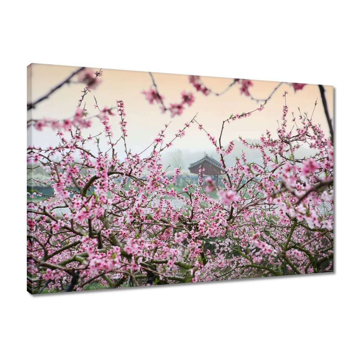 

Obrazy 60x40 Japonia Orient Buddyzm
