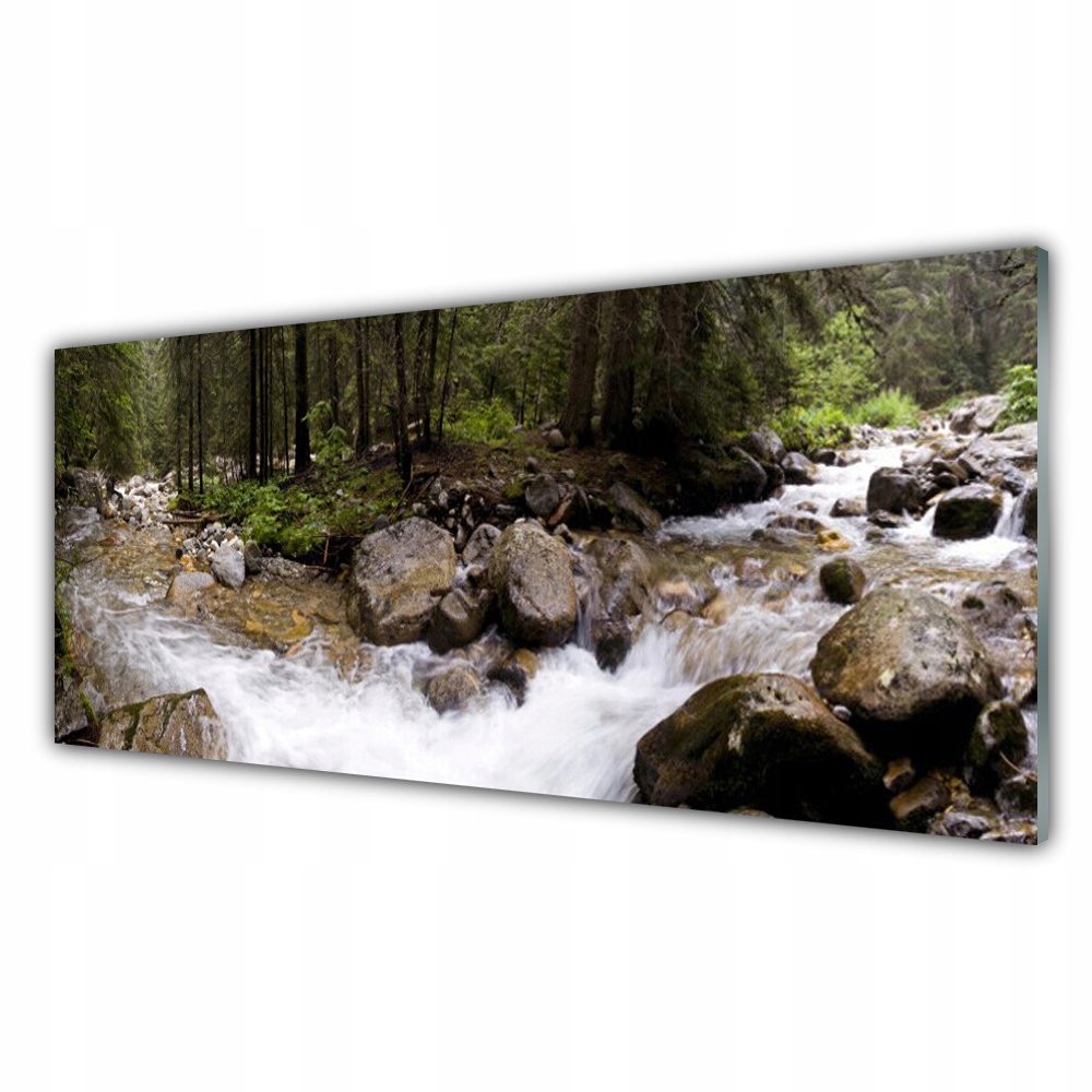 

Fotoobraz z nadrukiem 125x50 Las Rzeka Wodospady