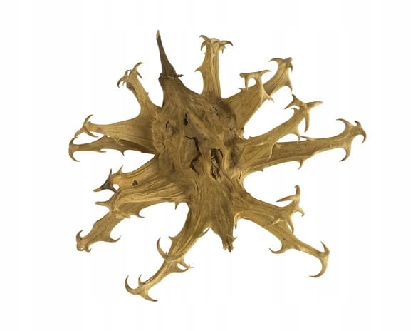 Czarci pazur Equiherbs mielony 500g