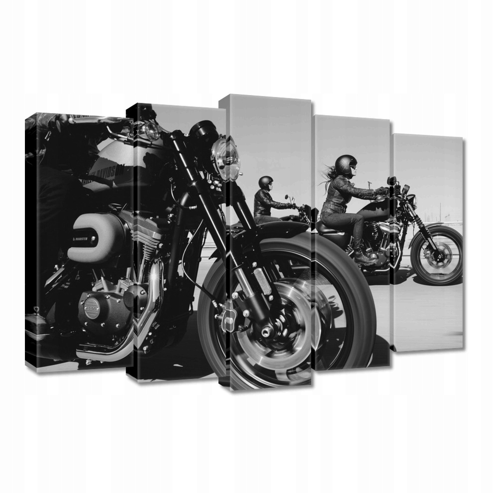 

Obrazy 70x50 Harley Davidson Motocykl