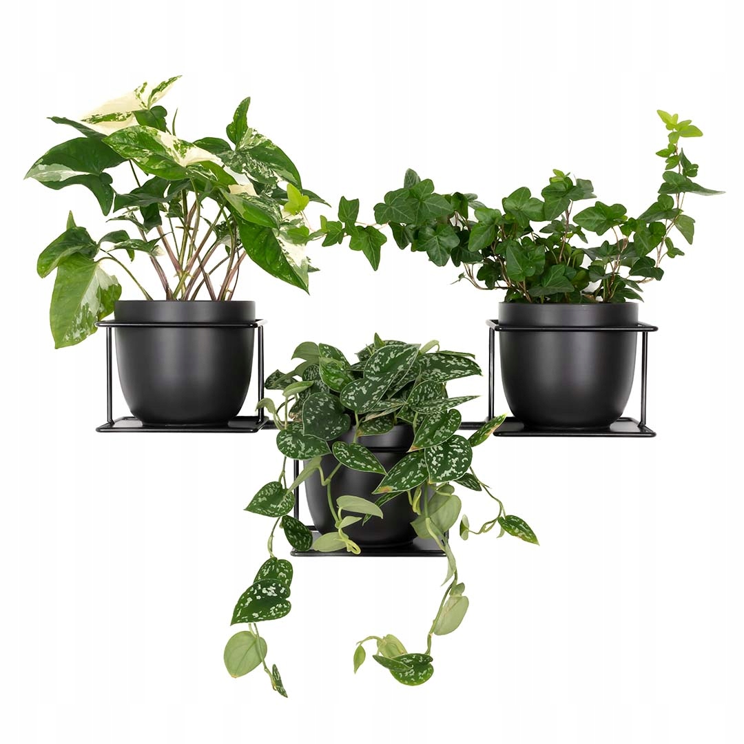 Držiak Na Kvetináč Džungľa 5 nástenný moderný pre 3 rastliny Vysoká Kvalita