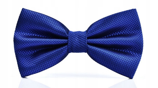 MUCHA MUSZKA MĘSKA DO GARNITURU-J-16 -CHABROWA Marka bez marki